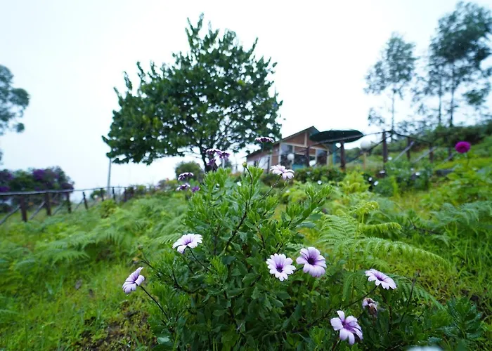 Vrindhavan Mist City Resorts