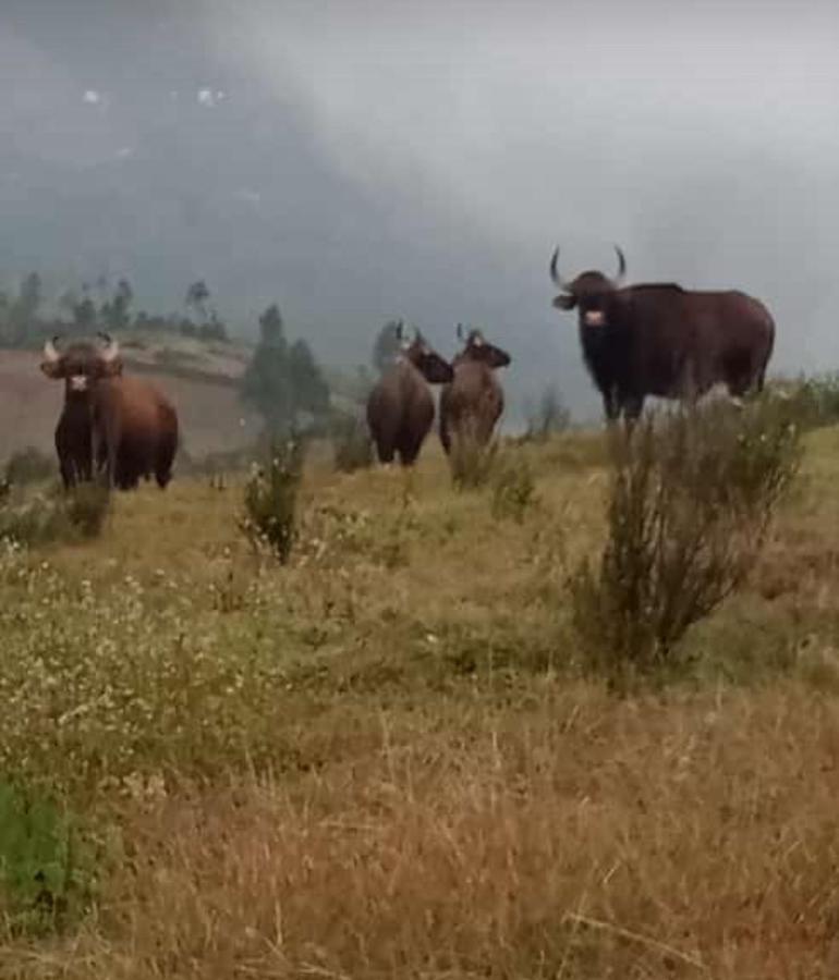Holiday home Vrindhavan Mist